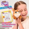 image:imageLittle Live Pets Cat Figurines for Kids Interactive Hutch Animal Playset with 25 Sounds Outdoor Toys for 5 Year Old GirlsKittys Home Mini