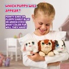 image:imageLittle Live Pets Cat Figurines for Kids Interactive Hutch Animal Playset with 25 Sounds Outdoor Toys for 5 Year Old GirlsPink  Purple Home