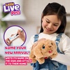 image:imageLittle Live Pets Cat Figurines for Kids Interactive Hutch Animal Playset with 25 Sounds Outdoor Toys for 5 Year Old GirlsPuppy