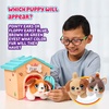 image:imageLittle Live Pets Cat Figurines for Kids Interactive Hutch Animal Playset with 25 Sounds Outdoor Toys for 5 Year Old GirlsTeal  Orange Home