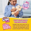 image:imageLittle Live Pets Cozy Dozy Cubbles The Bear  Over 25 Sounds and Reactions  Bedtime Buddies Blanket and Pacifier Included  Stuffed Animal Best Nap Time Interactive Teddy Bear 149Ginger The Kitty