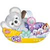 image:imageLittle Live Pets Cozy Dozy Cubbles The Bear  Over 25 Sounds and Reactions  Bedtime Buddies Blanket and Pacifier Included  Stuffed Animal Best Nap Time Interactive Teddy Bear 149Kip The Koala