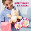 image:imageLittle Live Pets Cozy Dozy Cubbles The Bear  Over 25 Sounds and Reactions  Bedtime Buddies Blanket and Pacifier Included  Stuffed Animal Best Nap Time Interactive Teddy Bear 149Ginger The Kitty