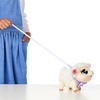 image:imageLittle Live Pets My Pet Lamb Snowie Baby Safe Stuffed Animal a Soft and Woolly Toy Lamb That Makes 25 Sounds amp Reactions Ages 5Lamb