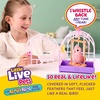 image:imageLittle Live Pets My Pet Piggly the Toy Pig Interactive Walking Pig Toy with 25 Sounds and Detachable Leash Pigs Toys for Kids of Ages 5Bird  Cage Rosie