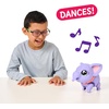image:imageLittle Live Pets My Pet Piggly the Toy Pig Interactive Walking Pig Toy with 25 Sounds and Detachable Leash Pigs Toys for Kids of Ages 5Walking Elephant
