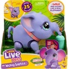 image:imageLittle Live Pets My Pet Piggly the Toy Pig Interactive Walking Pig Toy with 25 Sounds and Detachable Leash Pigs Toys for Kids of Ages 5Walking Elephant