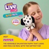 image:imageLittle Live Pets My Really Real Puppy Patches The Beagle Interactive Realistic Toy Dog with 60 Sounds and 2in1 Bed Lifelike Puppy Toys for Kids Ages 5Mini Dalmation