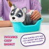 image:imageLittle Live Pets My Really Real Puppy Patches The Beagle Interactive Realistic Toy Dog with 60 Sounds and 2in1 Bed Lifelike Puppy Toys for Kids Ages 5Mini Husky