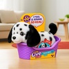 image:imageLittle Live Pets My Really Real Puppy Patches The Beagle Interactive Realistic Toy Dog with 60 Sounds and 2in1 Bed Lifelike Puppy Toys for Kids Ages 5Mini Dalmation