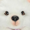 image:imageLittle Live Pets My Really Real Puppy Patches The Beagle Interactive Realistic Toy Dog with 60 Sounds and 2in1 Bed Lifelike Puppy Toys for Kids Ages 5Luna