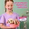 image:imageLittle Live Pets My Really Real Puppy Patches The Beagle Interactive Realistic Toy Dog with 60 Sounds and 2in1 Bed Lifelike Puppy Toys for Kids Ages 5Mini Retriever