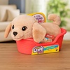 image:imageLittle Live Pets My Really Real Puppy Patches The Beagle Interactive Realistic Toy Dog with 60 Sounds and 2in1 Bed Lifelike Puppy Toys for Kids Ages 5Mini Retriever