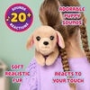 image:imageLittle Live Pets My Really Real Puppy Patches The Beagle Interactive Realistic Toy Dog with 60 Sounds and 2in1 Bed Lifelike Puppy Toys for Kids Ages 5Mini Retriever