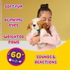 image:imageLittle Live Pets My Really Real Puppy Patches The Beagle Interactive Realistic Toy Dog with 60 Sounds and 2in1 Bed Lifelike Puppy Toys for Kids Ages 5Beagle