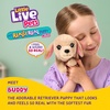 image:imageLittle Live Pets My Really Real Puppy Patches The Beagle Interactive Realistic Toy Dog with 60 Sounds and 2in1 Bed Lifelike Puppy Toys for Kids Ages 5Mini Retriever