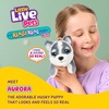 image:imageLittle Live Pets My Really Real Puppy Patches The Beagle Interactive Realistic Toy Dog with 60 Sounds and 2in1 Bed Lifelike Puppy Toys for Kids Ages 5Mini Husky