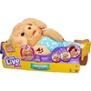 image:imageLittle Live Pets Cozy Dozy Cubbles The Bear  Over 25 Sounds and Reactions  Bedtime Buddies Blanket and Pacifier Included  Stuffed Animal Best Nap Time Interactive Teddy Bear 149Charlie The Puppy