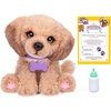 image:imageLittle Live Pets My Really Real Puppy Patches The Beagle Interactive Realistic Toy Dog with 60 Sounds and 2in1 Bed Lifelike Puppy Toys for Kids Ages 5Bailey
