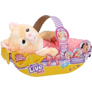 image:imageLittle Live Pets Cozy Dozy Cubbles The Bear  Over 25 Sounds and Reactions  Bedtime Buddies Blanket and Pacifier Included  Stuffed Animal Best Nap Time Interactive Teddy Bear 149Ginger The Kitty