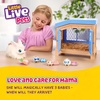 image:imageLittle Live Pets Mama Surprise Kittens Interactive Mama Surprise ToysBunny