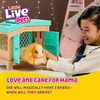 image:imageLittle Live Pets Mama Surprise Kittens Interactive Mama Surprise ToysGuinea Pig
