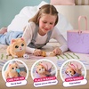 image:imageLittle Live Pets Mama Surprise Kittens Interactive Mama Surprise ToysKitten