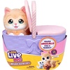 image:imageLittle Live Pets Mama Surprise Kittens Interactive Mama Surprise ToysKitten
