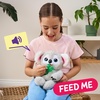 image:imageLittle Live Pets My Baby Monkey Mango 50 Sounds and Reactions Plush Interactive Monkey Toy Set with Accessories Interactive Pets for Kids Ages 4 Toys for Girls and BoysKoala