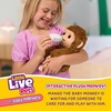 image:imageLittle Live Pets My Baby Monkey Mango 50 Sounds and Reactions Plush Interactive Monkey Toy Set with Accessories Interactive Pets for Kids Ages 4 Toys for Girls and BoysMonkey