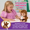 image:imageLittle Live Pets My Baby Monkey Mango 50 Sounds and Reactions Plush Interactive Monkey Toy Set with Accessories Interactive Pets for Kids Ages 4 Toys for Girls and BoysMonkey