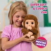 image:imageLittle Live Pets My Baby Monkey Mango 50 Sounds and Reactions Plush Interactive Monkey Toy Set with Accessories Interactive Pets for Kids Ages 4 Toys for Girls and BoysMonkey
