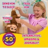 image:imageLittle Live Pets My Baby Monkey Mango 50 Sounds and Reactions Plush Interactive Monkey Toy Set with Accessories Interactive Pets for Kids Ages 4 Toys for Girls and BoysMonkey