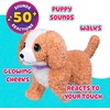 image:imageLittle Live Pets Ouchies Cooper The Retriever Puppy 50 Sounds Limping to Walking Puppy Toy with Vet Carrier Interactive Toy Dog for Kids Ages 5Poodle