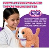 image:imageLittle Live Pets Ouchies Cooper The Retriever Puppy 50 Sounds Limping to Walking Puppy Toy with Vet Carrier Interactive Toy Dog for Kids Ages 5Poodle
