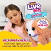 image:imageLittle Live Pets Ouchies Cooper The Retriever Puppy 50 Sounds Limping to Walking Puppy Toy with Vet Carrier Interactive Toy Dog for Kids Ages 5Poodle