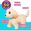 image:imageLittle Live Pets Ouchies Cooper The Retriever Puppy 50 Sounds Limping to Walking Puppy Toy with Vet Carrier Interactive Toy Dog for Kids Ages 5Retriever