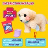 image:imageLittle Live Pets Ouchies Cooper The Retriever Puppy 50 Sounds Limping to Walking Puppy Toy with Vet Carrier Interactive Toy Dog for Kids Ages 5Retriever