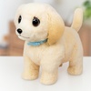 image:imageLittle Live Pets Ouchies Cooper The Retriever Puppy 50 Sounds Limping to Walking Puppy Toy with Vet Carrier Interactive Toy Dog for Kids Ages 5Retriever
