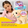 image:imageLittle Live Pets Ouchies Cooper The Retriever Puppy 50 Sounds Limping to Walking Puppy Toy with Vet Carrier Interactive Toy Dog for Kids Ages 5Retriever
