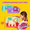 image:imageLittle Live Pets Ouchies Cooper The Retriever Puppy 50 Sounds Limping to Walking Puppy Toy with Vet Carrier Interactive Toy Dog for Kids Ages 5Retriever