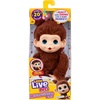 image:imageLittle Live Pets Baby Monkey Minis  Chikki Cherry Interactive PetChikki Cherry