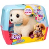 image:imageLittle Live Pets Ouchies Cooper The Retriever Puppy 50 Sounds Limping to Walking Puppy Toy with Vet Carrier Interactive Toy Dog for Kids Ages 5Retriever